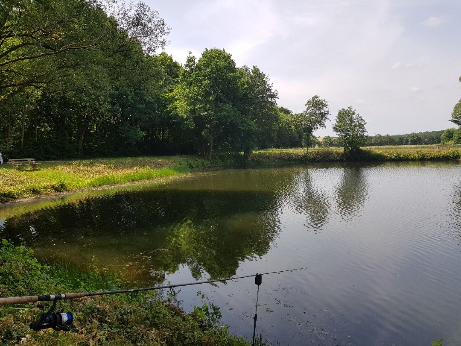 Quellenteich (Felsberg) angeln
