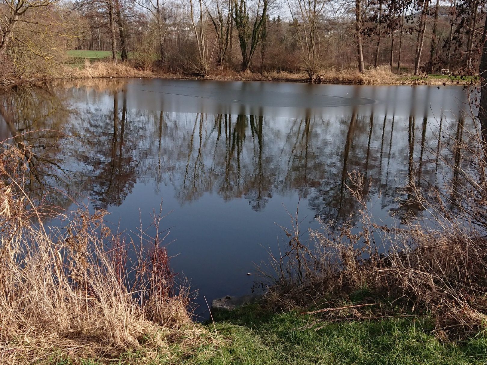 Quellenteich (Felsberg) angeln