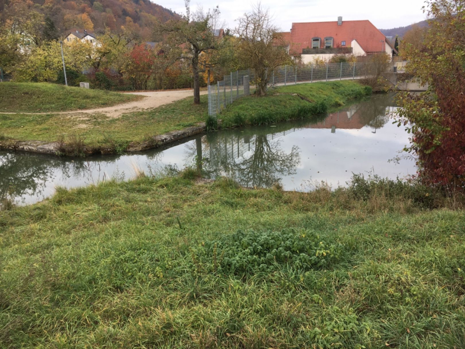 Alter Hafen Kelheim angeln