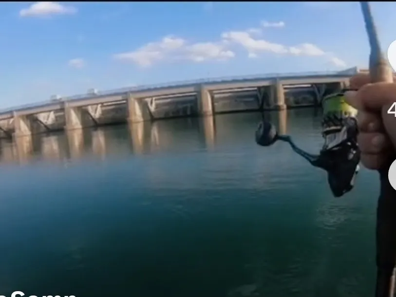 Canal du Rhône au Rhin (Marckolsheim) angeln