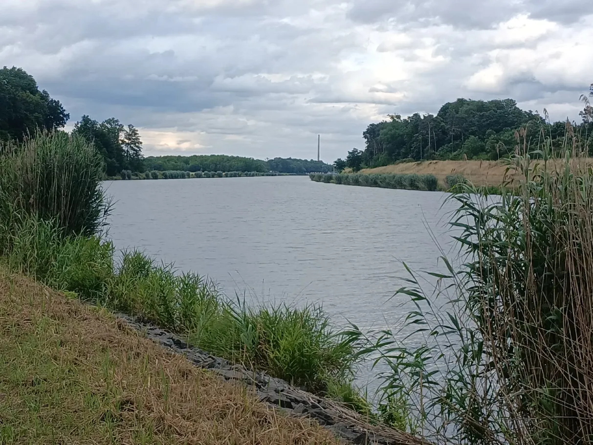 Elbe-Havel-Kanal (Genthin) angeln