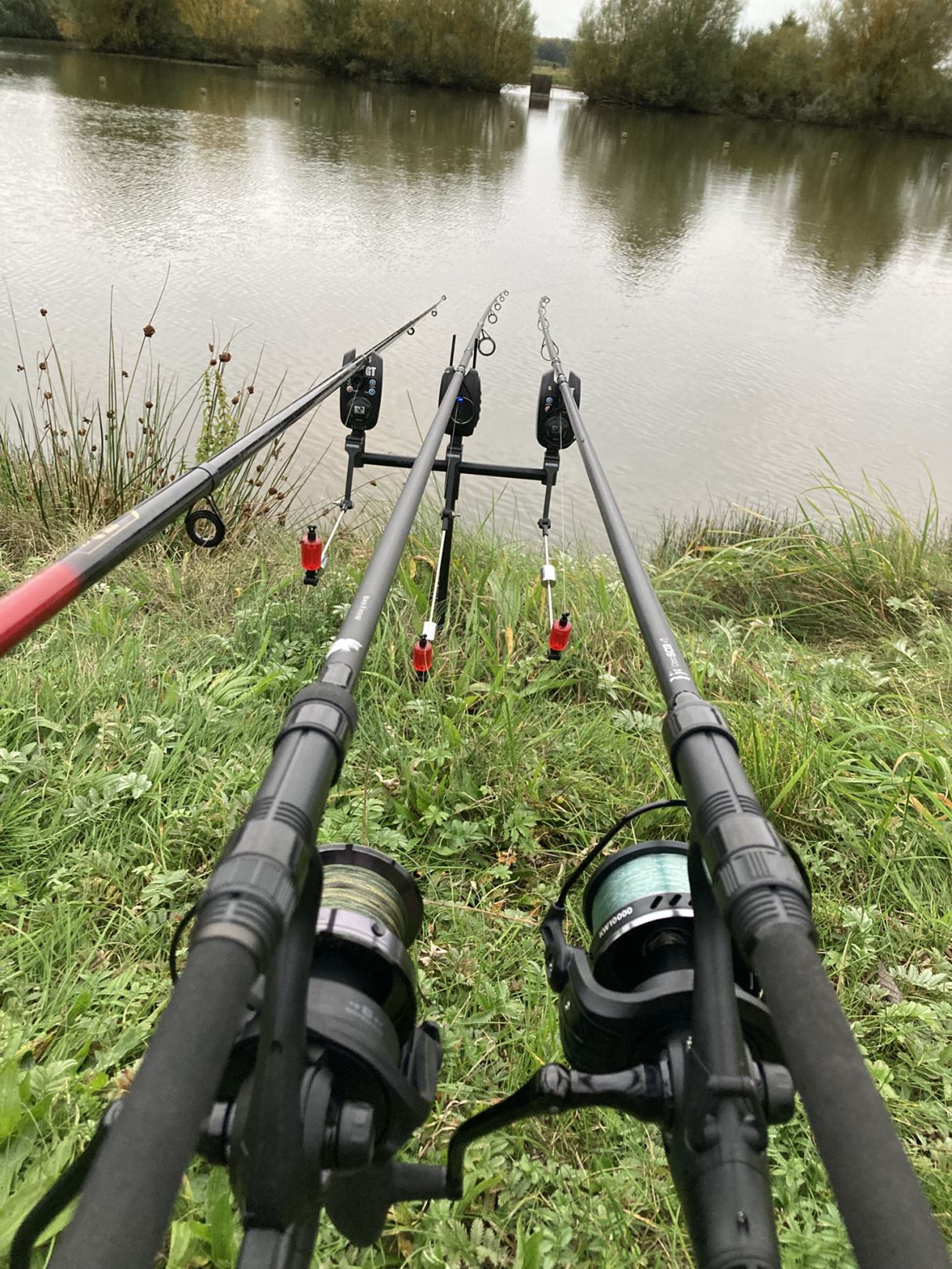 Mestliner Teich angeln