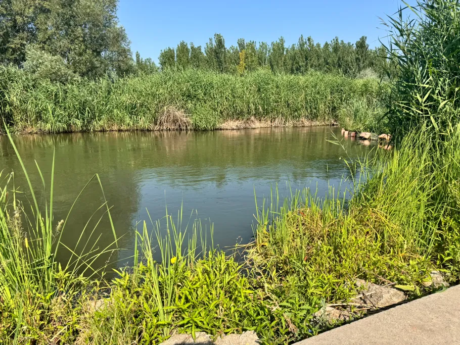 Alcsi-Holt-Tisza angeln