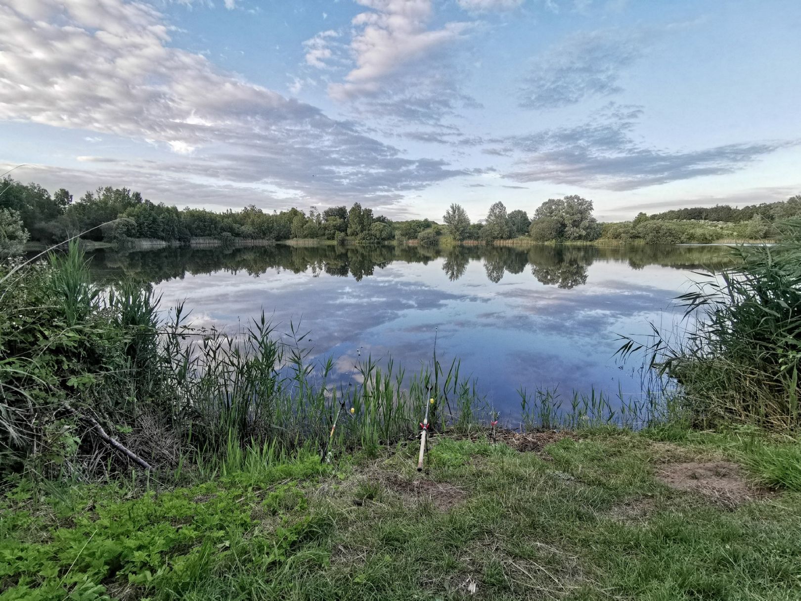 Schirnausee (Nützen) angeln