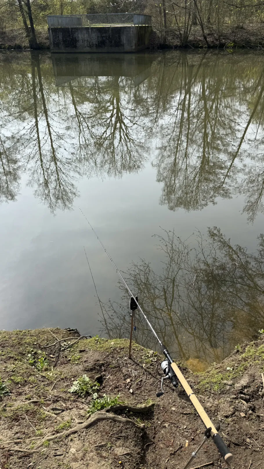 Haselbachteich (Dülmen) angeln