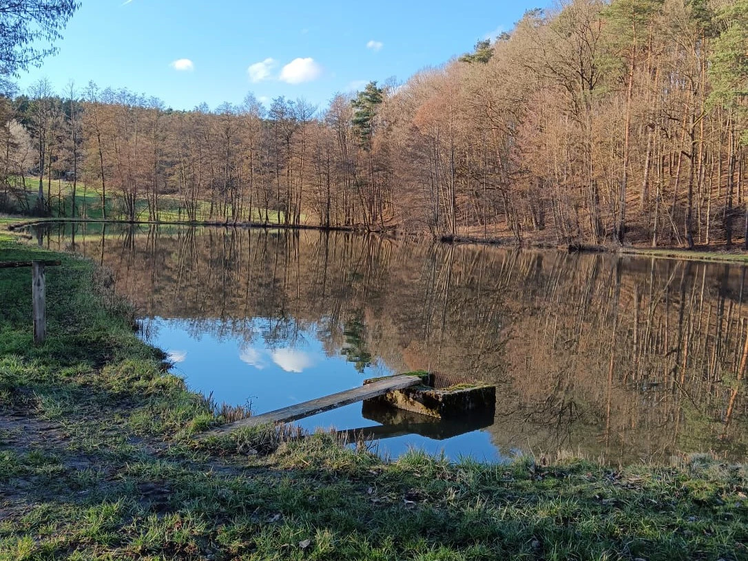 Vereinsteich Theinheim angeln