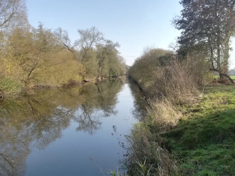 Ohm (Kirchhain) angeln