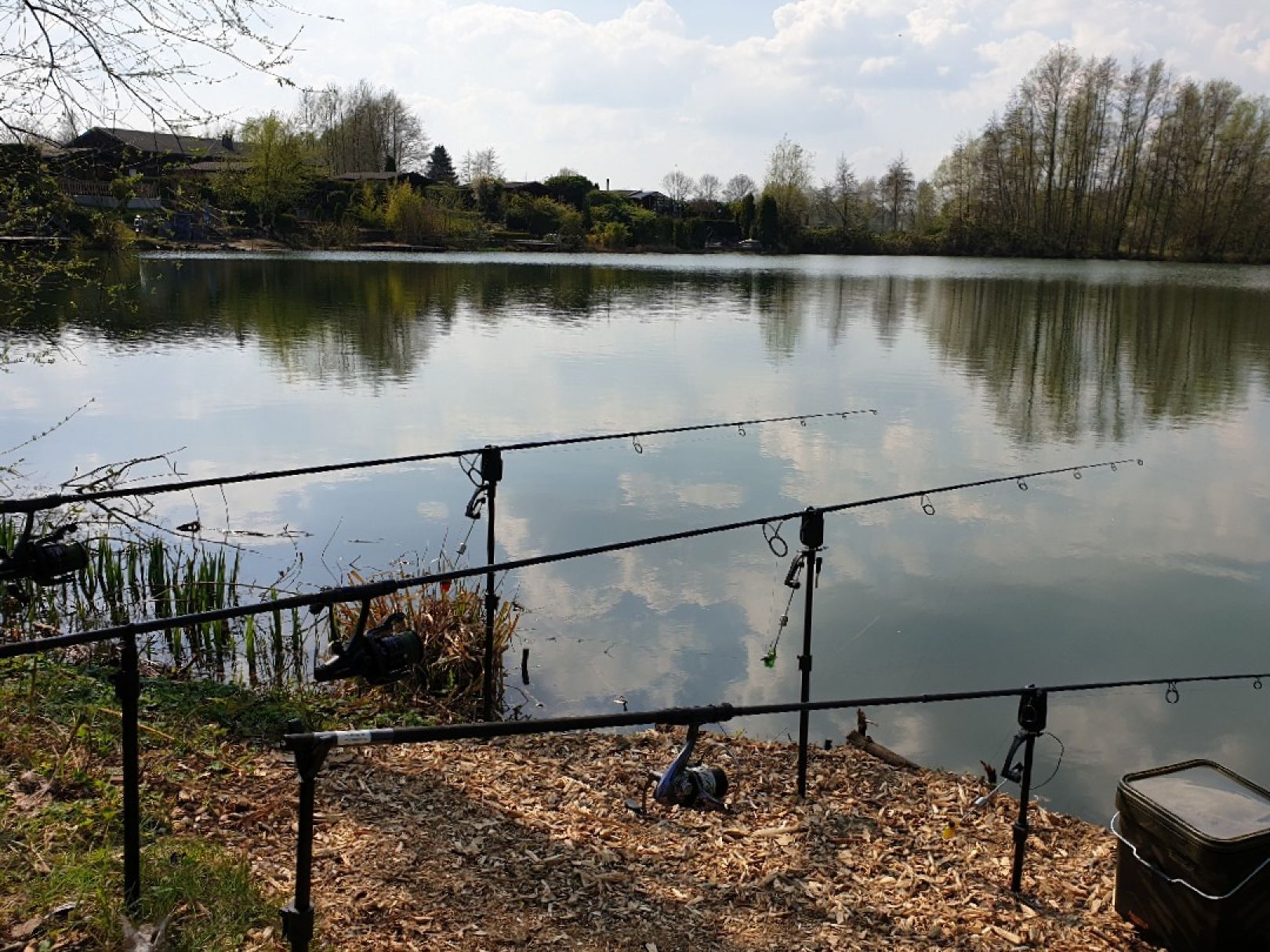 Hohenforster See angeln