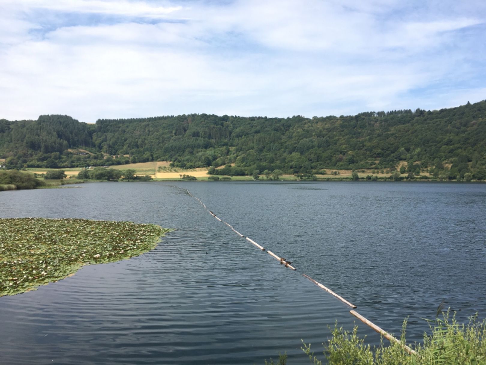 Angeln in Seinsfeld