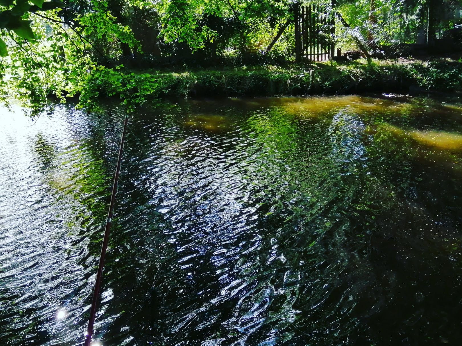 Toter Helmearm Roßla angeln