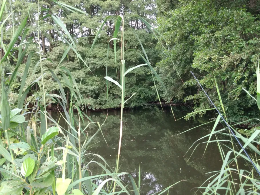 Angelsee Kloster Springiersbach  angeln