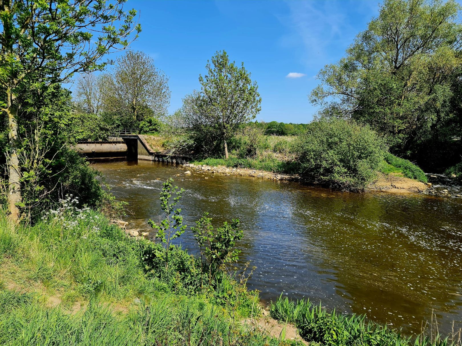 Stever (Haltern am See) angeln