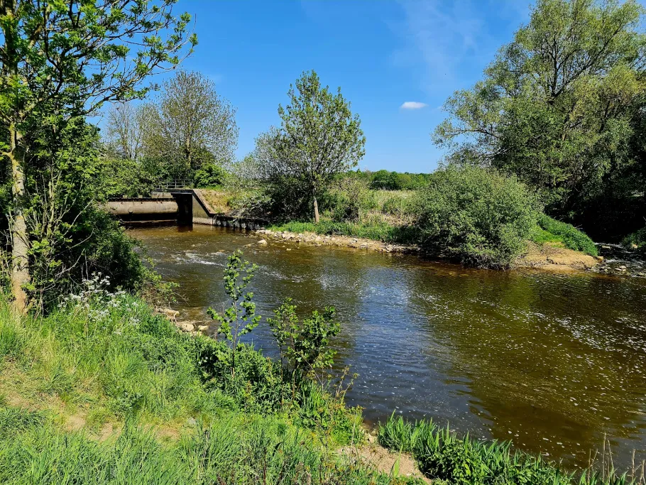 Stever (Haltern am See) angeln