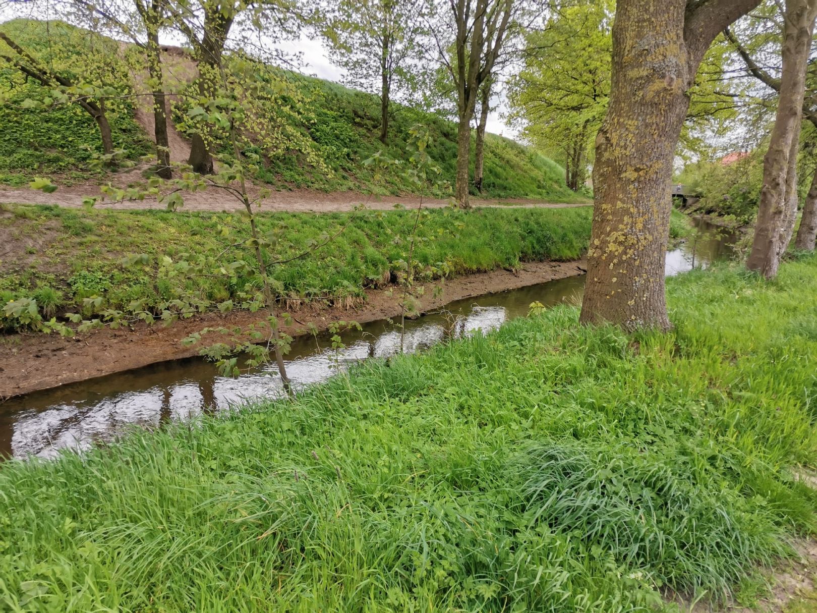 Hopener Mühlenbach (Dinklage) angeln