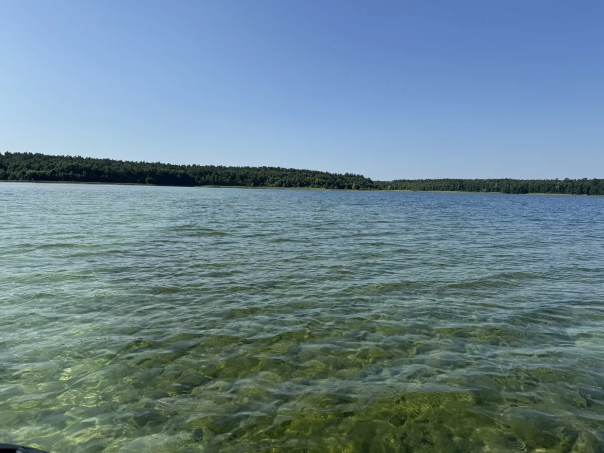 Großer Fürstenseer See angeln