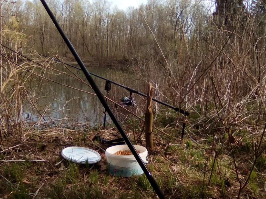 Stöckleweiher (Ettringen) angeln