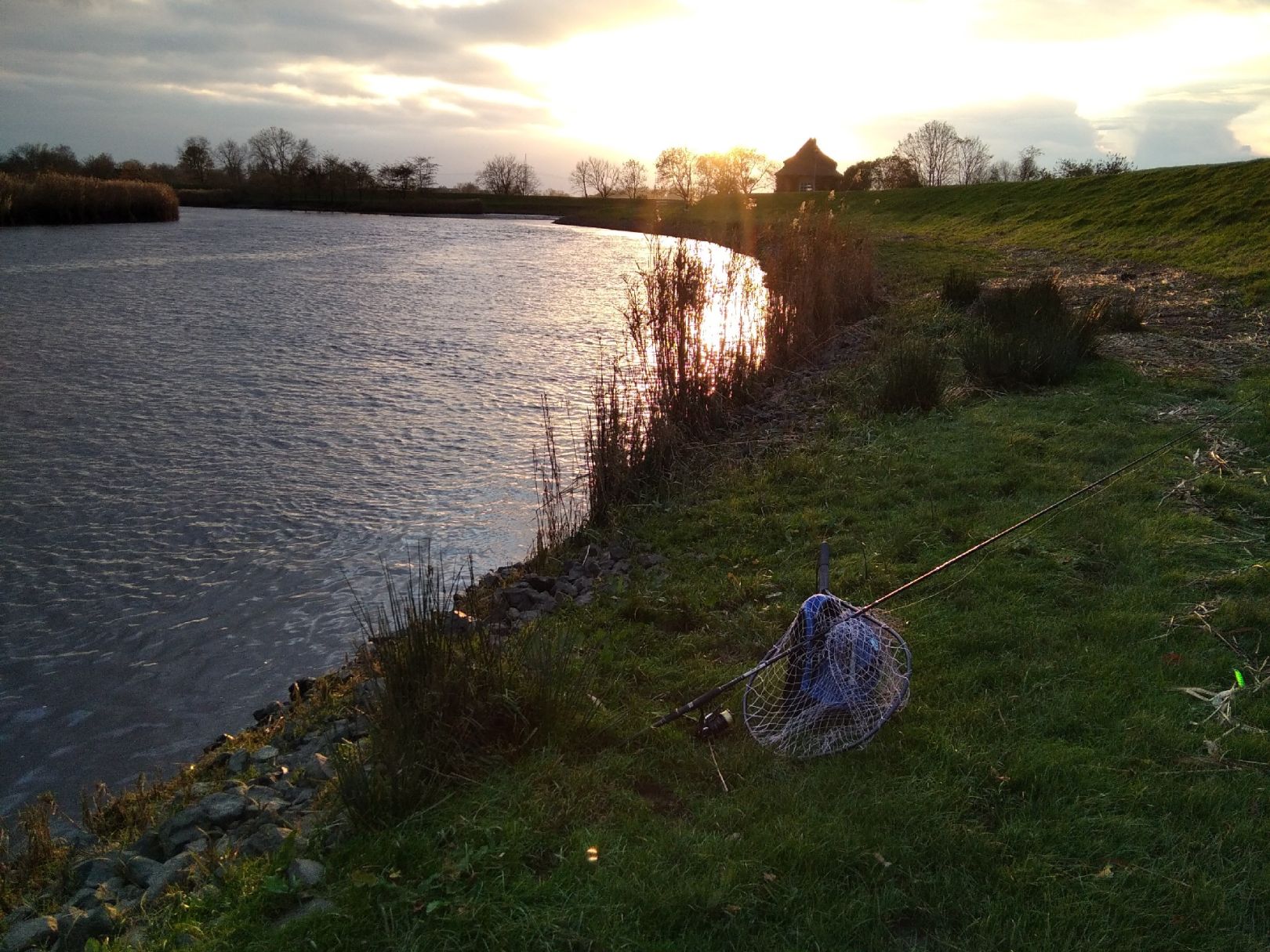 Stör (Wilster) angeln