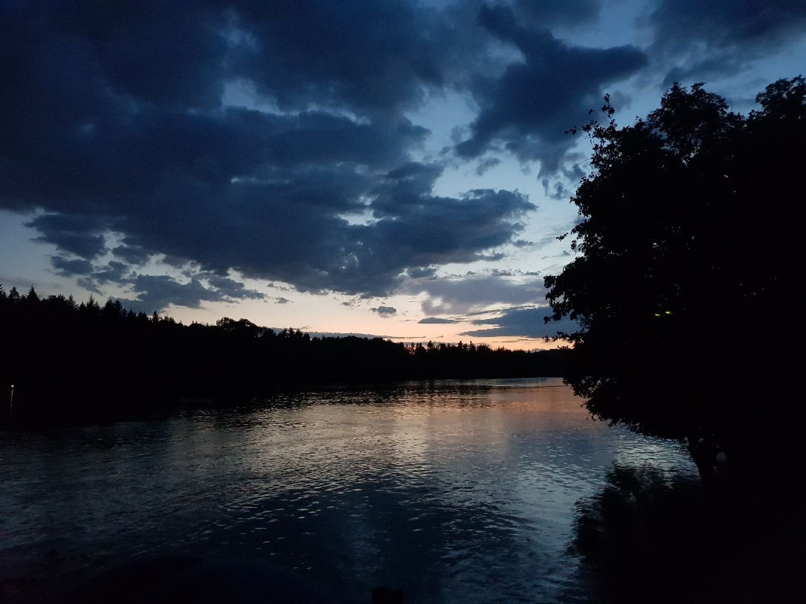 Rhein (Rheinfelden) angeln