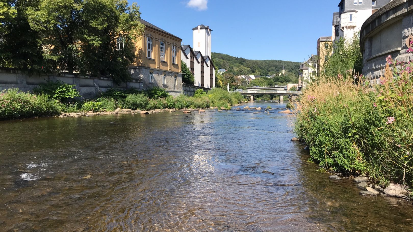 Zwickauer Mulde (Aue) angeln