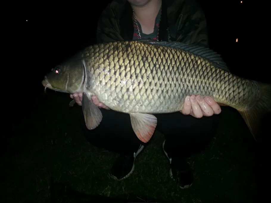 Teich Thalgarten (Querfurt) angeln