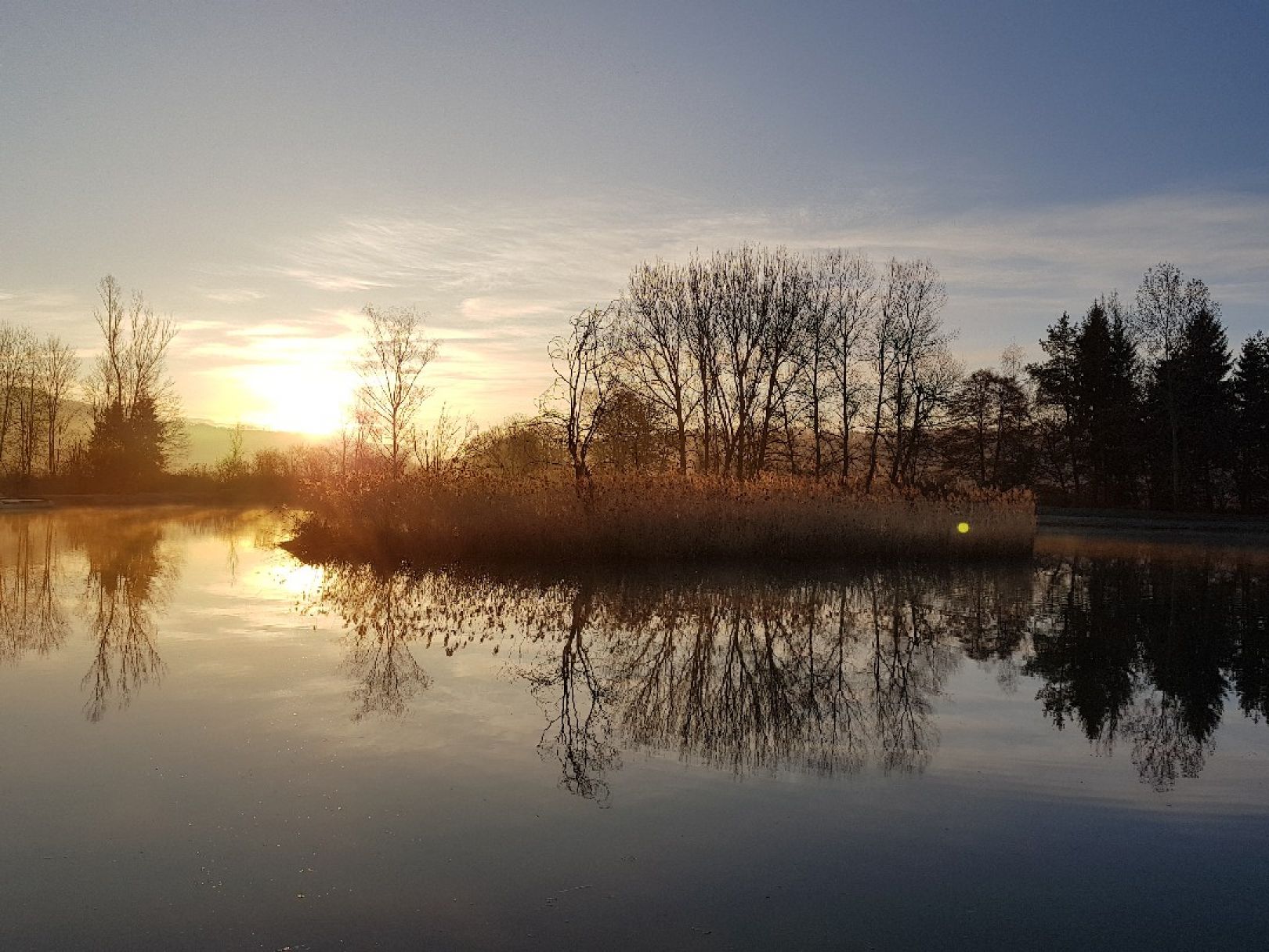 Erlensee (Irslingen) angeln