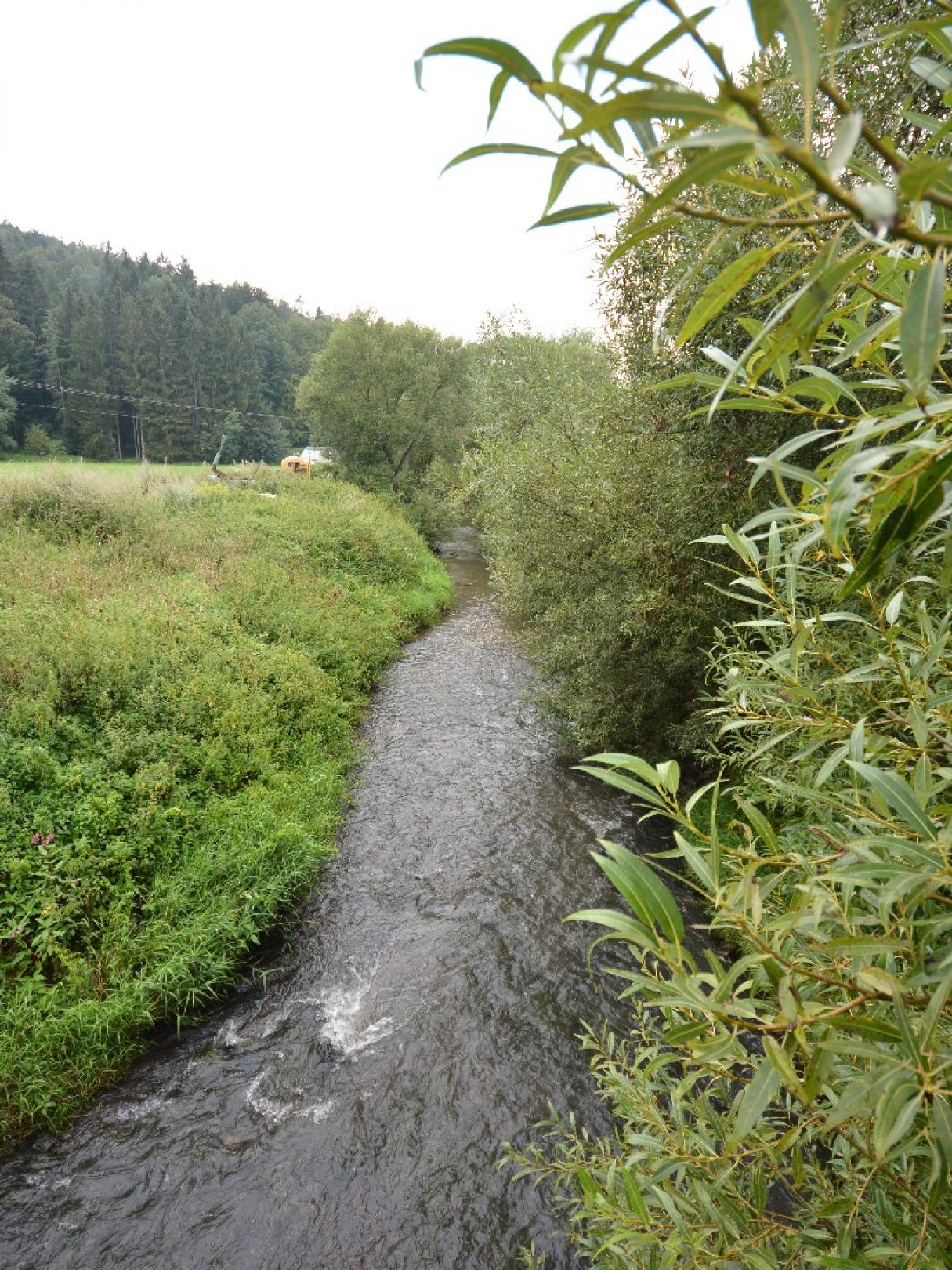 Schwarzach (Burgthann) angeln
