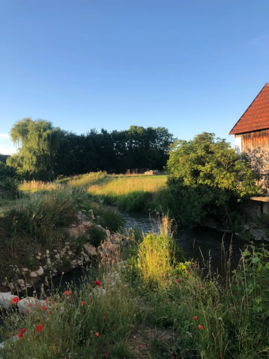 Friedberger Ach (Niederschönenfeld) angeln