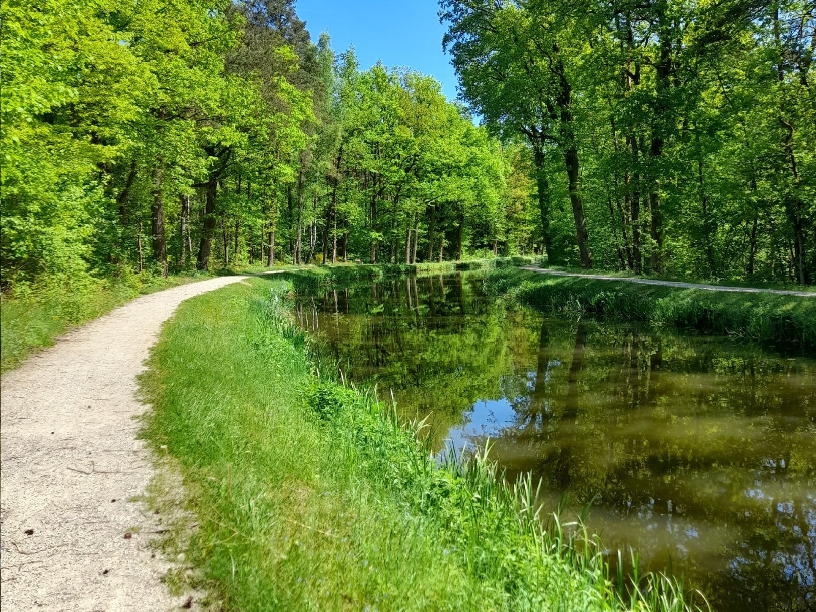 Ludwig-Donau-Main-Kanal (Worzeldorf) angeln