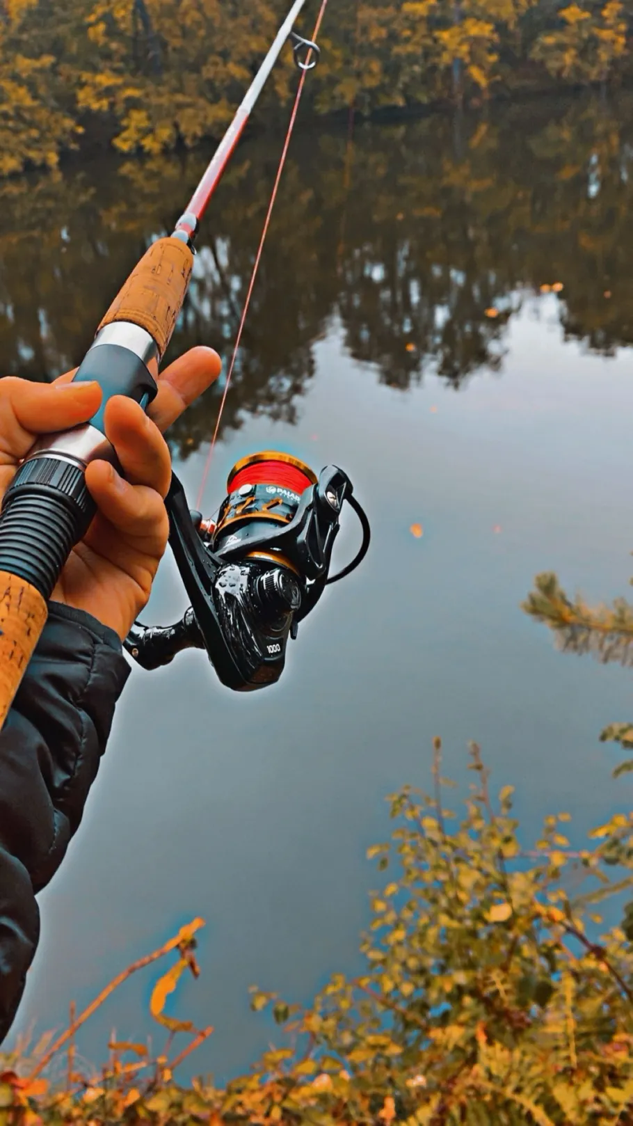 Bakendiek (Süplingen) angeln