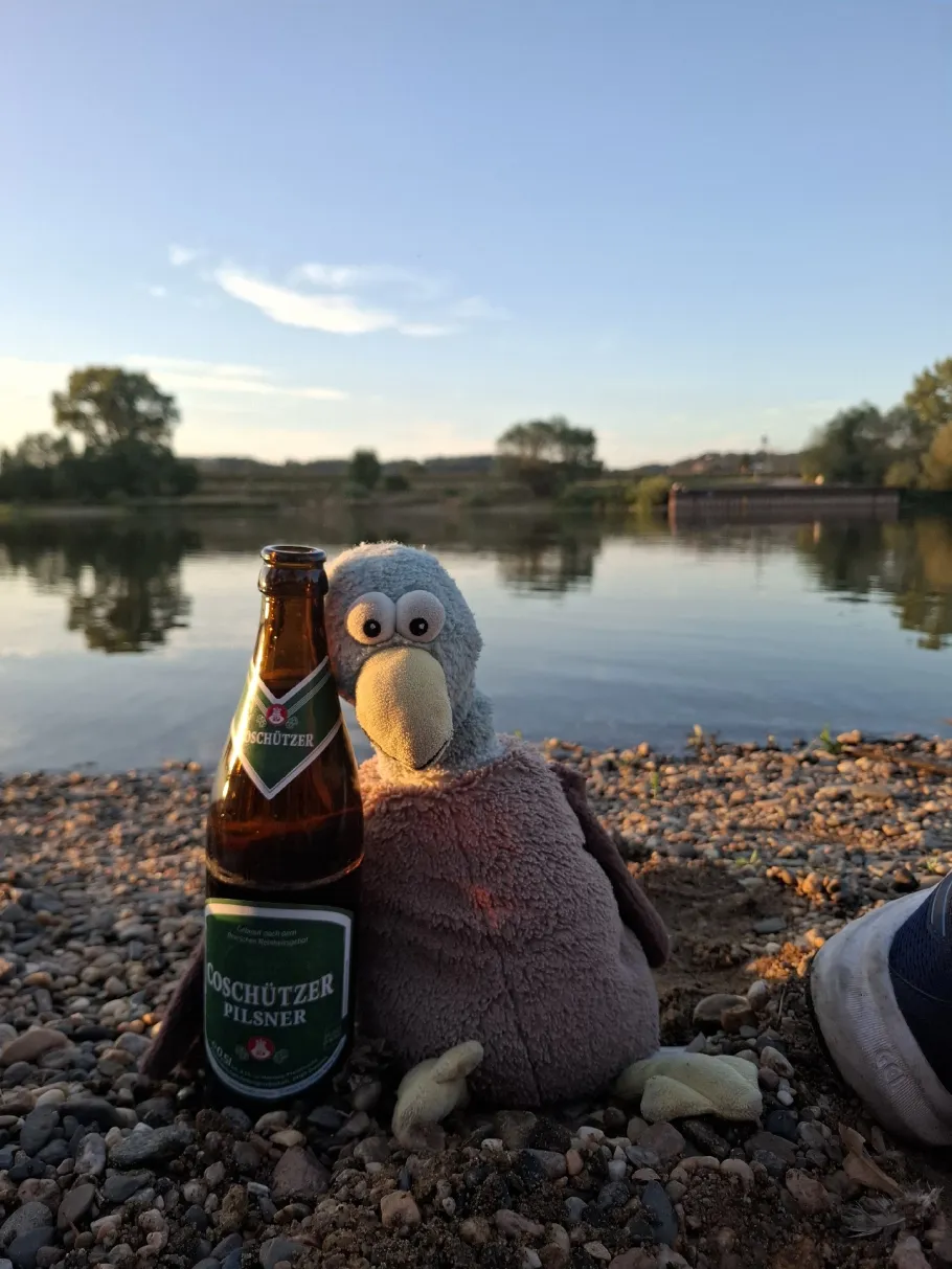 Elbe (Radebeul) angeln