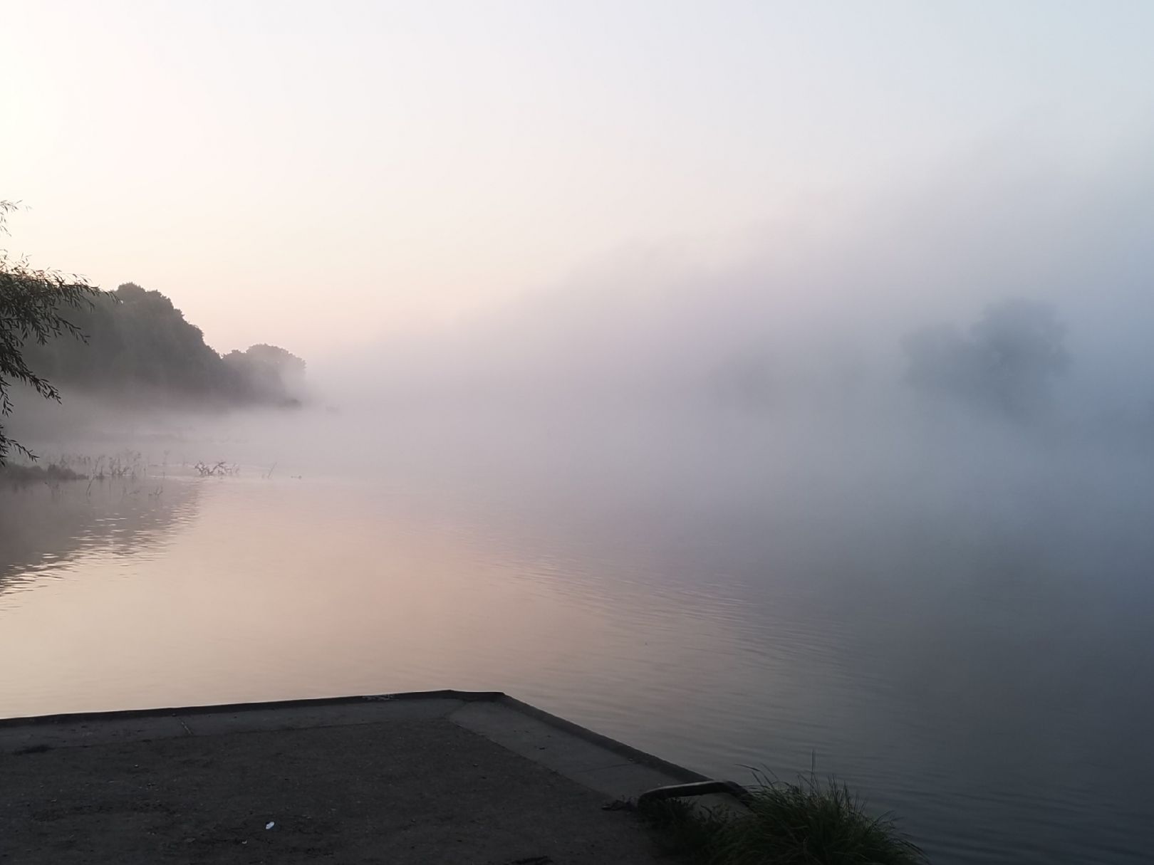 Elbe (Radebeul) angeln