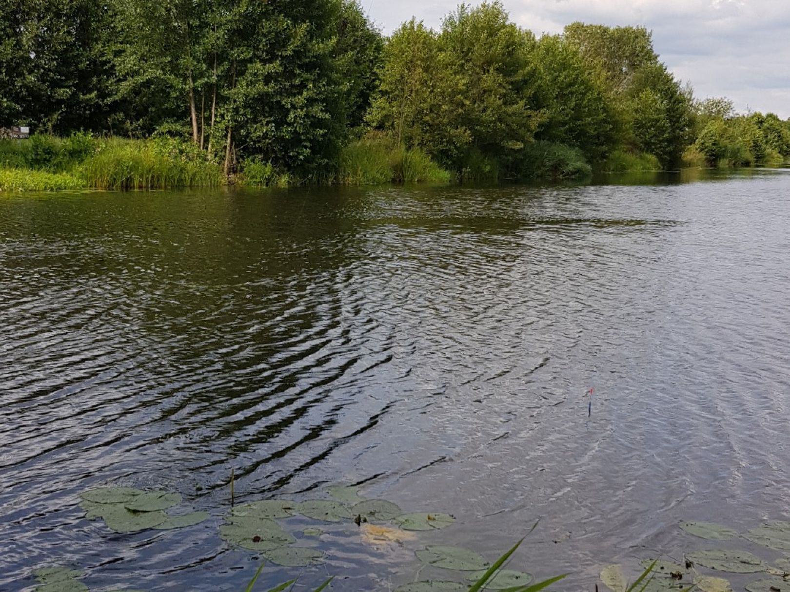 Finowkanal (Marienwerder) angeln