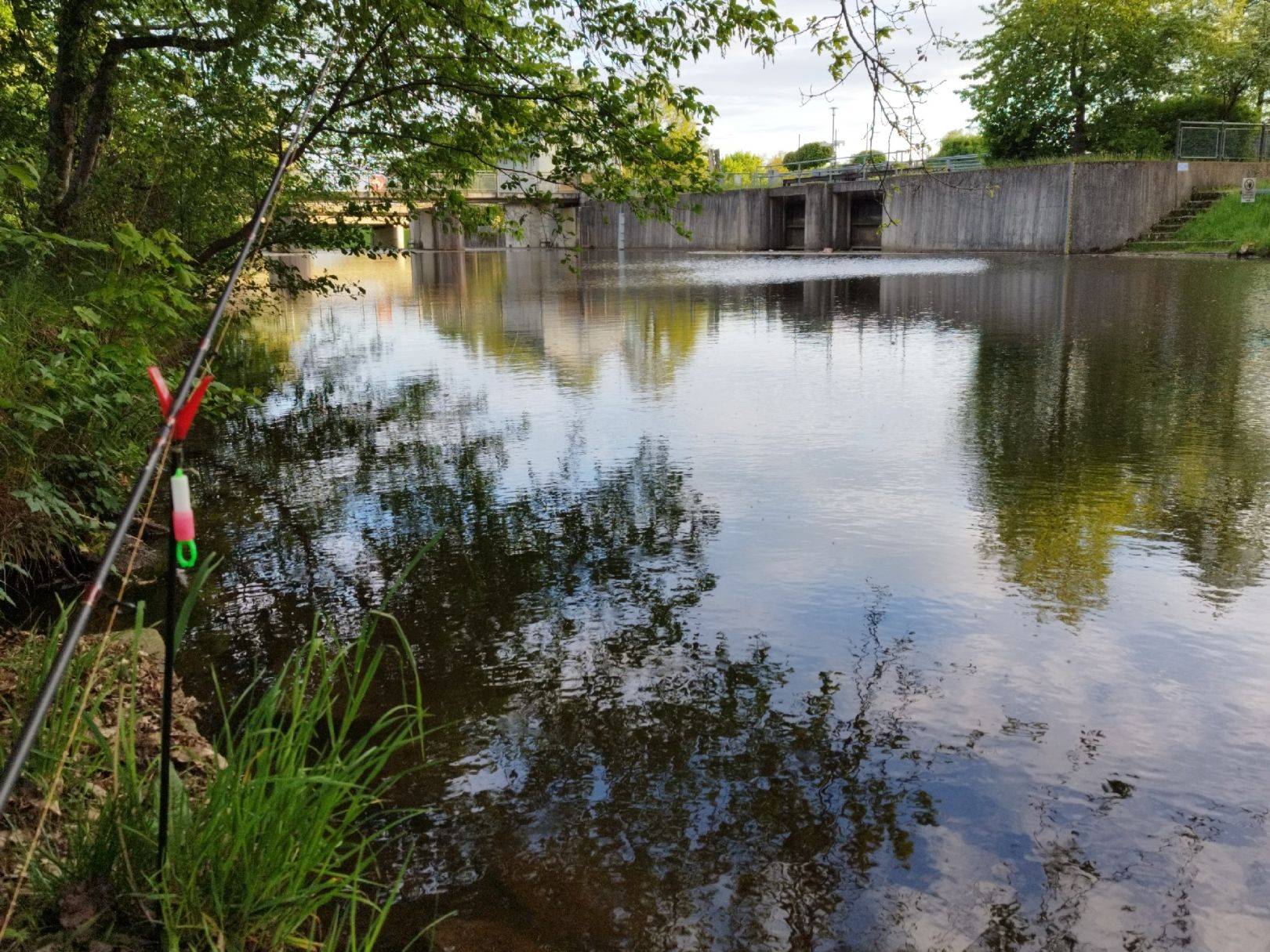 Flutkanal (Weiden i.d. Oberpfalz) angeln