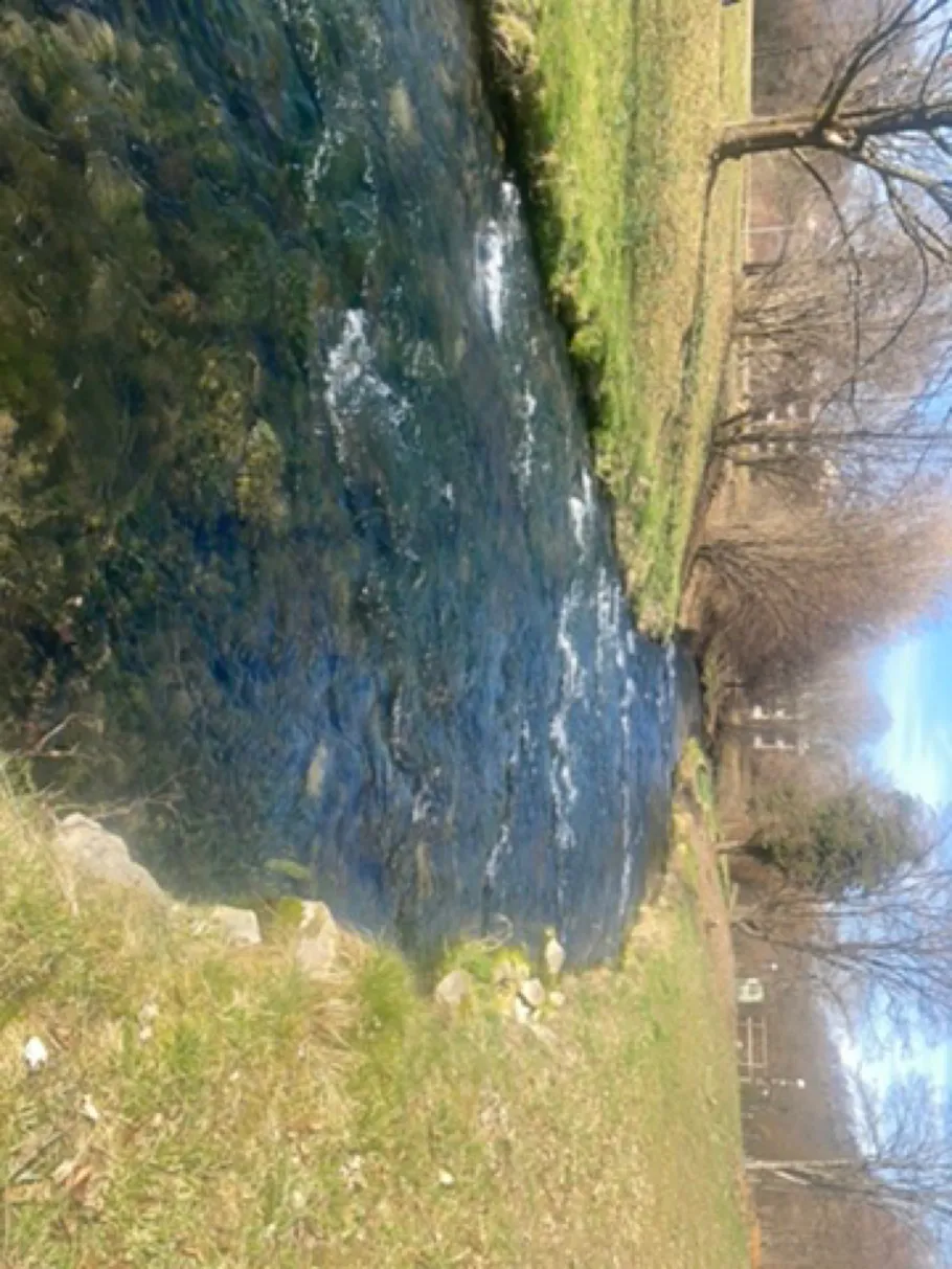 Erms (Bad Urach) angeln