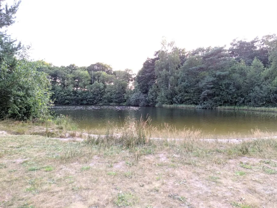 Tunxdorfer Waldsee angeln