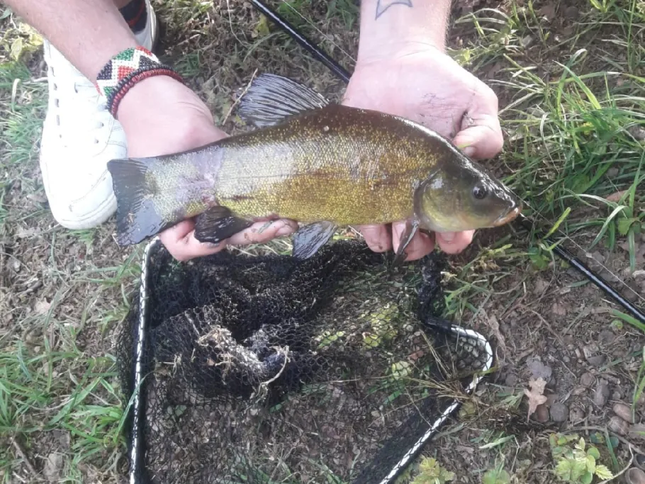 Naturpark (Kellen) angeln