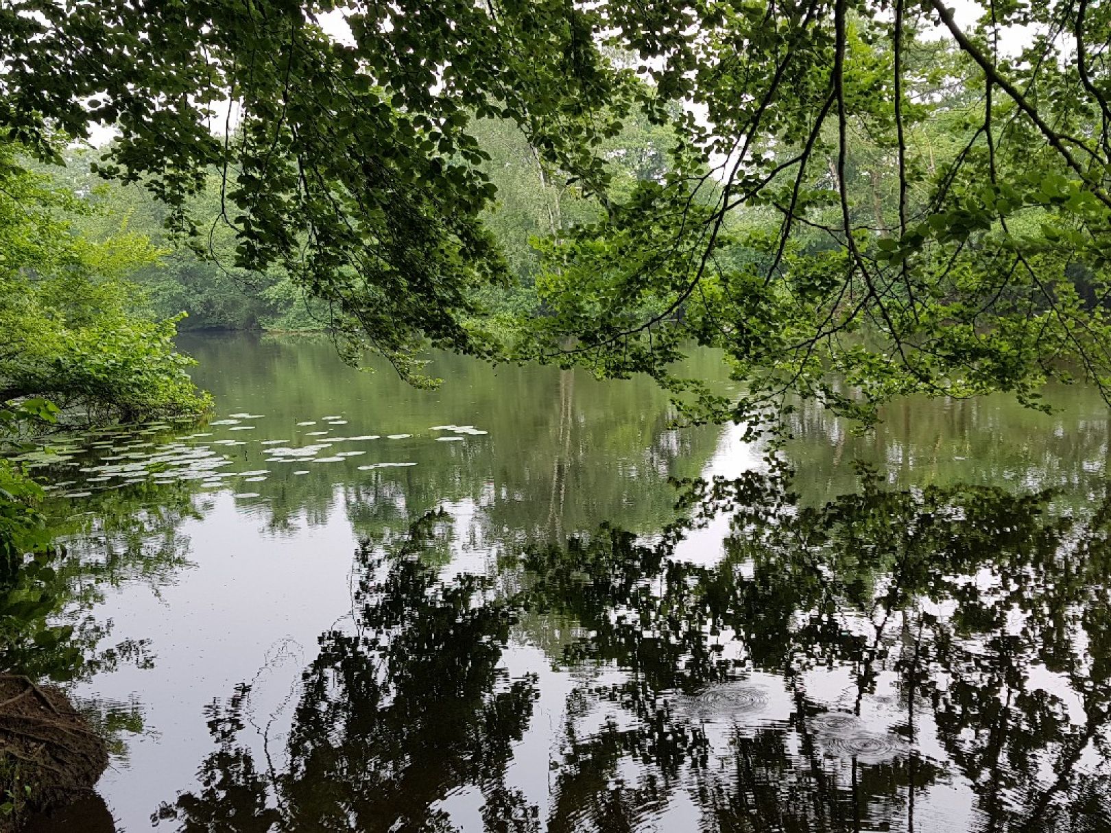 Heisinger Becken angeln