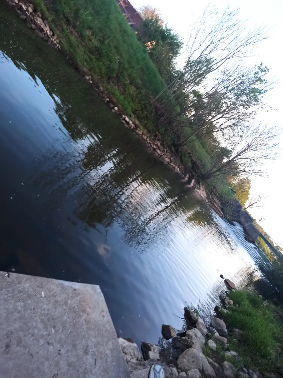 Else (Bruchmühlen) angeln