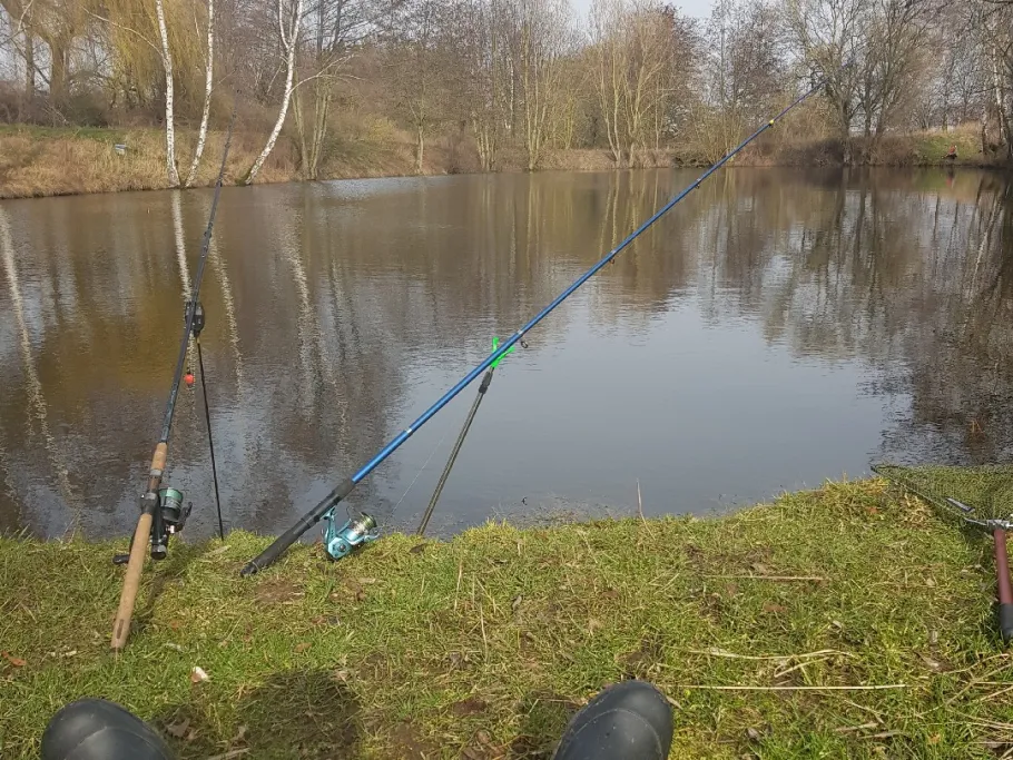 Schafbade (Erxleben) angeln