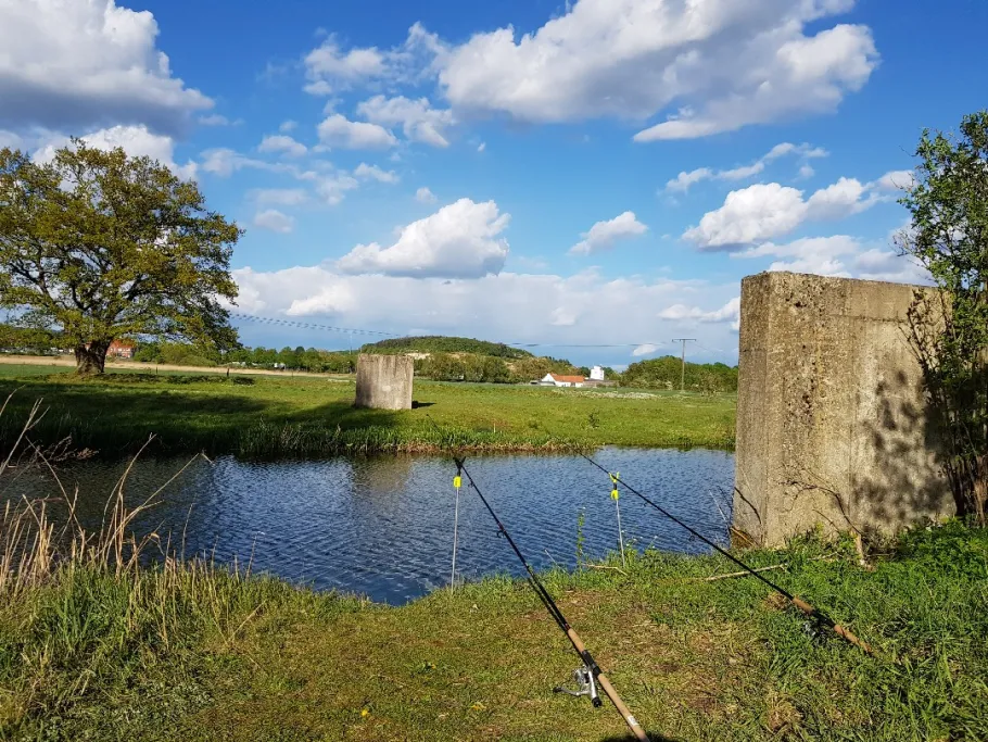 Innerste (Baddeckenstedt) angeln