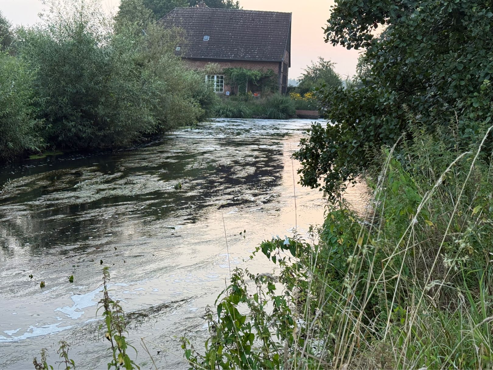 Böhme (Böhme) angeln