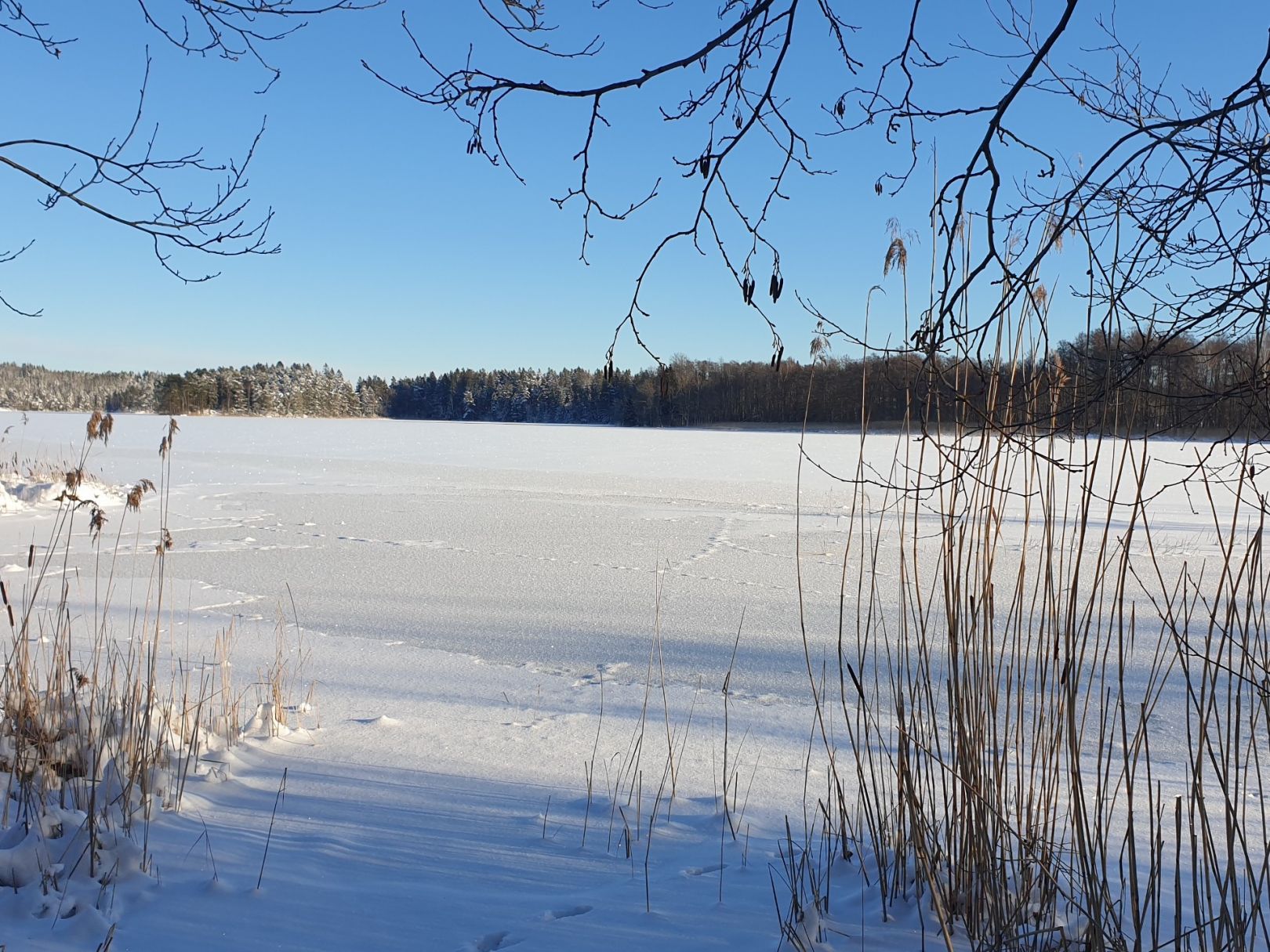 Mälaren angeln