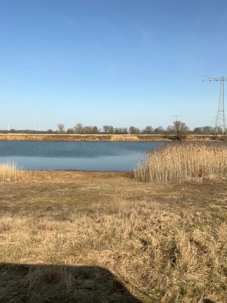 Dabruner Riß (Dabrun) angeln