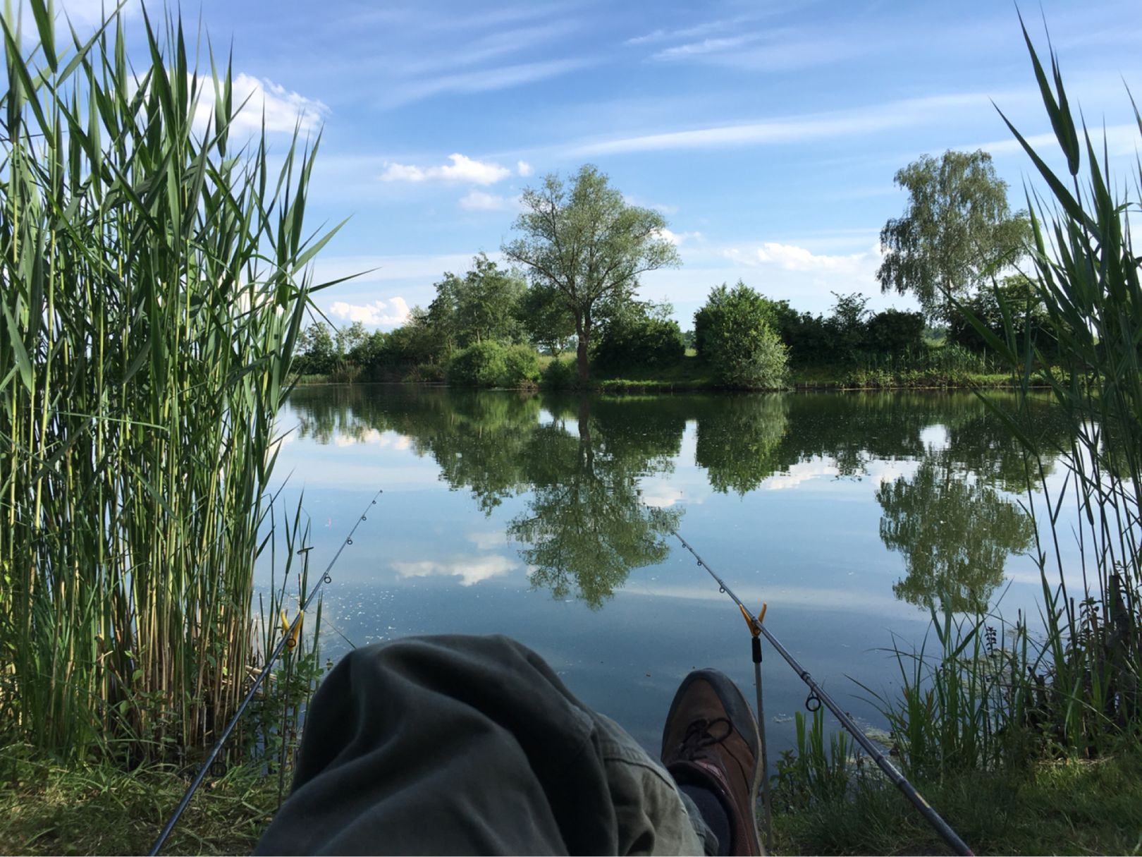 Bruchweiher Biblis angeln