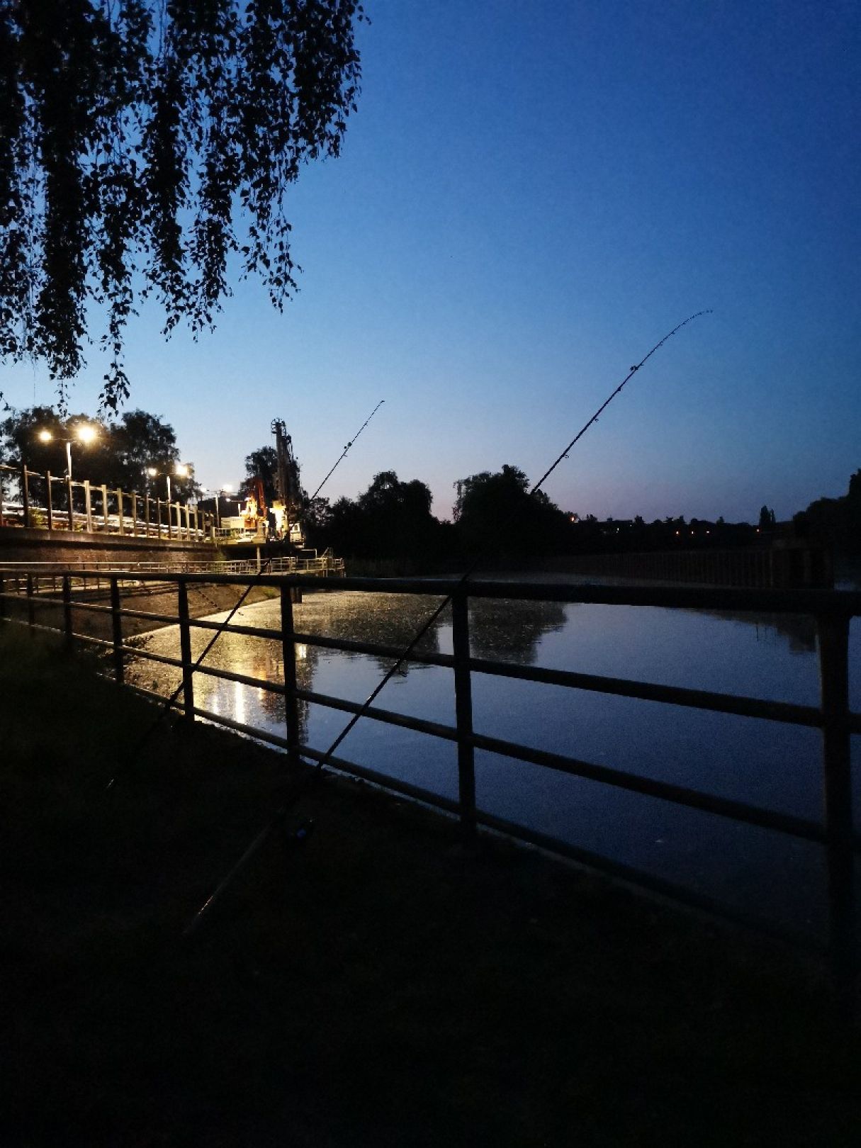Main (Bischofsheim-Fechenheim) angeln