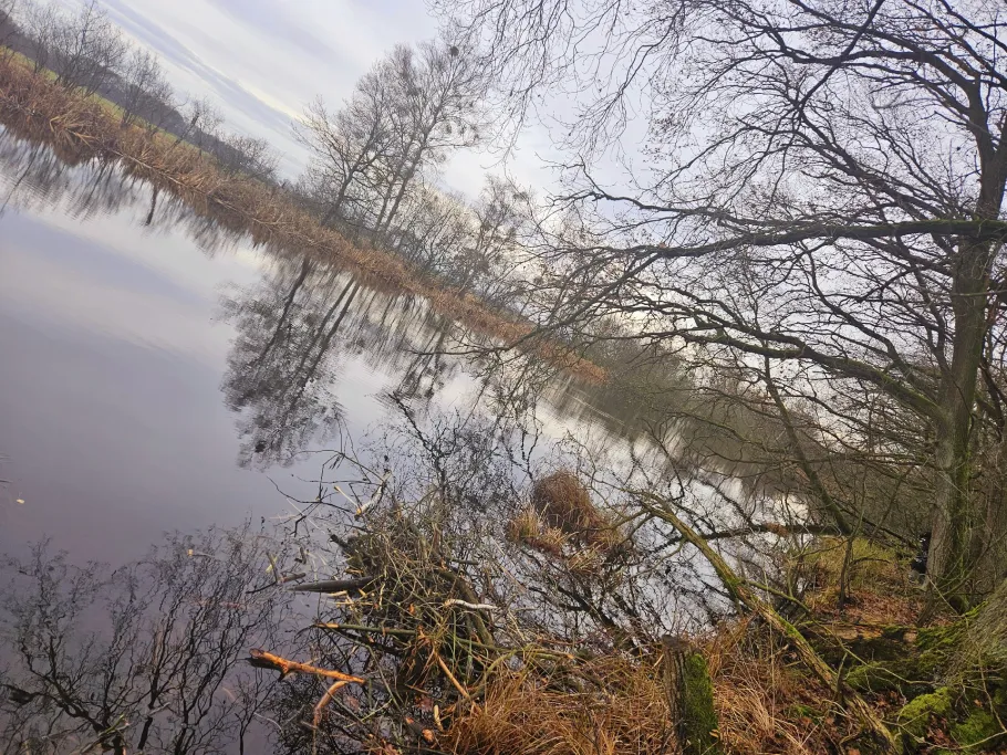 Torfloch Löwitz angeln