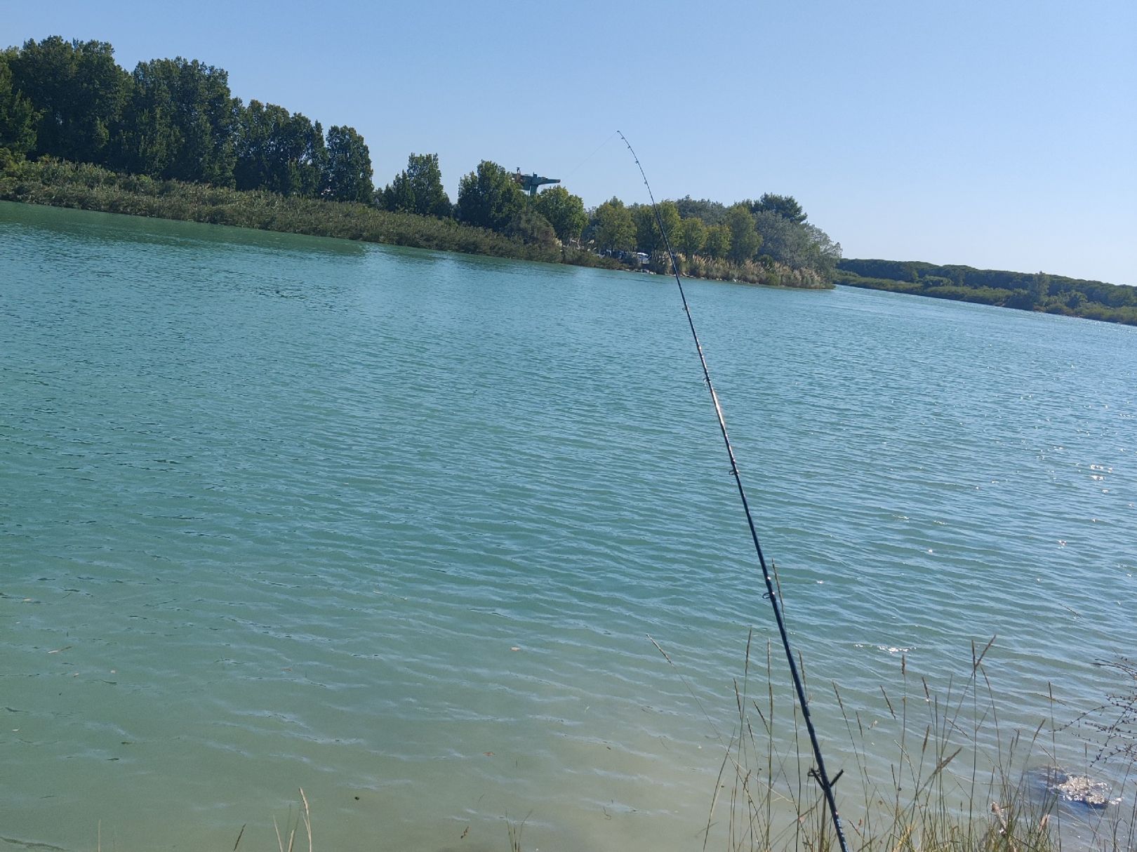 Tagliamento (Bibione) angeln