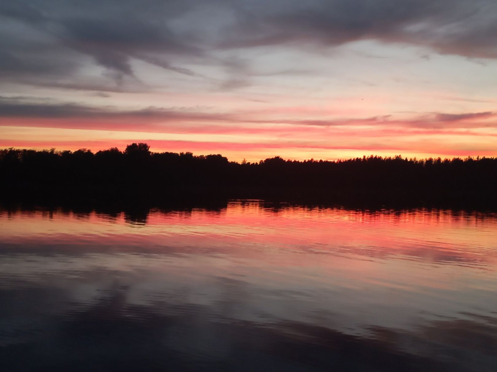 Staudhamer See (Edling) angeln