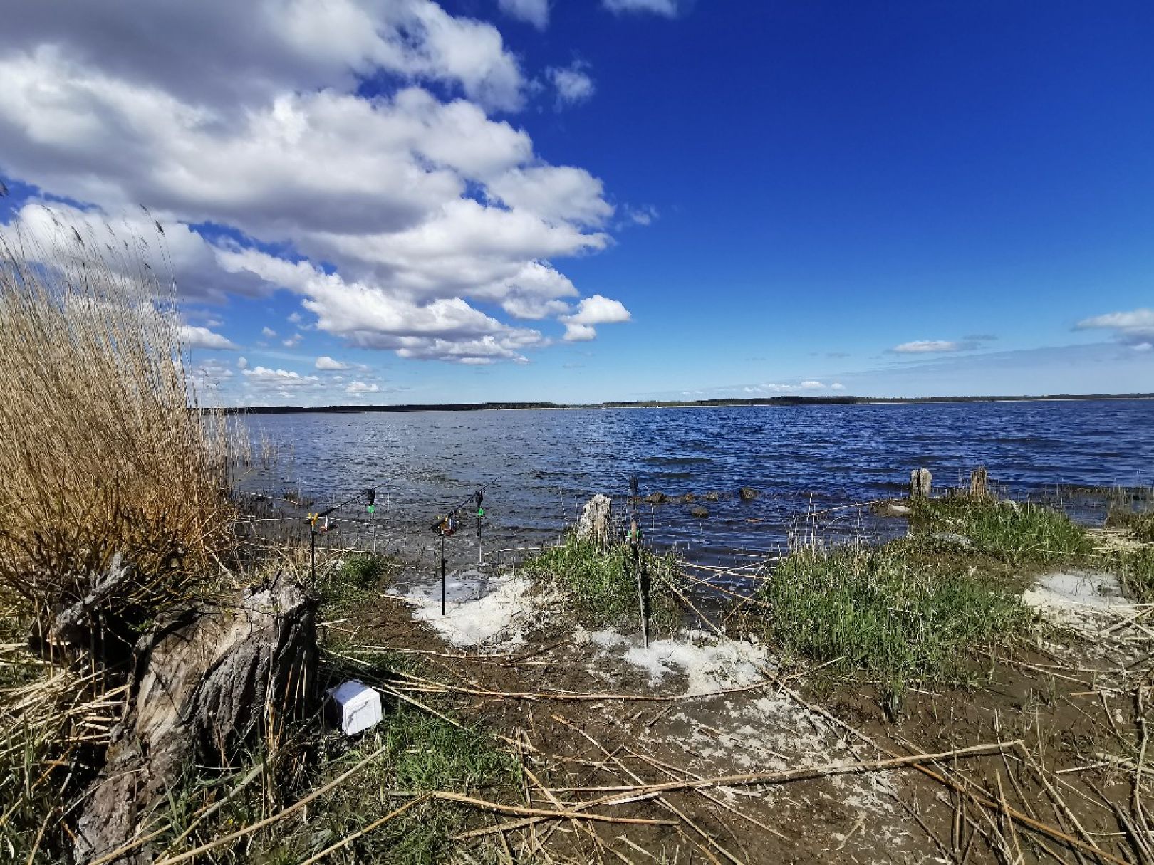 Peenestrom (Achterwasser) angeln