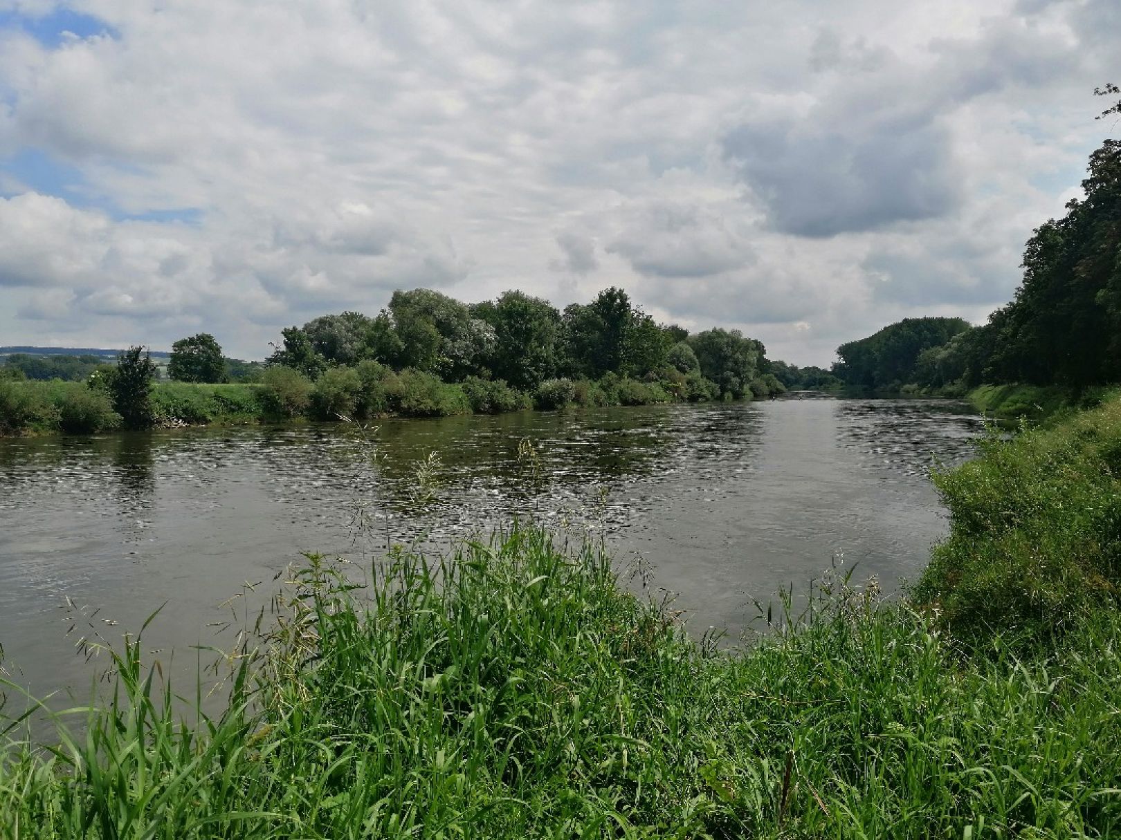 Donau (Altisheim-Leitheim) angeln